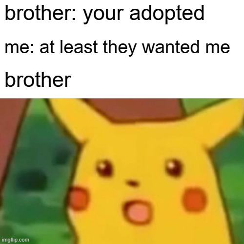 Surprised Pikachu | brother: your adopted; me: at least they wanted me; brother | image tagged in memes,surprised pikachu | made w/ Imgflip meme maker