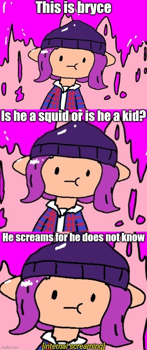 This is bryce; Is he a squid or is he a kid? He screams for he does not know | image tagged in internal screaming | made w/ Imgflip meme maker