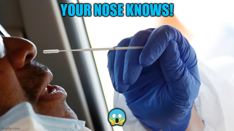 Your nose knows! | YOUR NOSE KNOWS! 😱 | image tagged in nose,covid,wake up | made w/ Imgflip meme maker