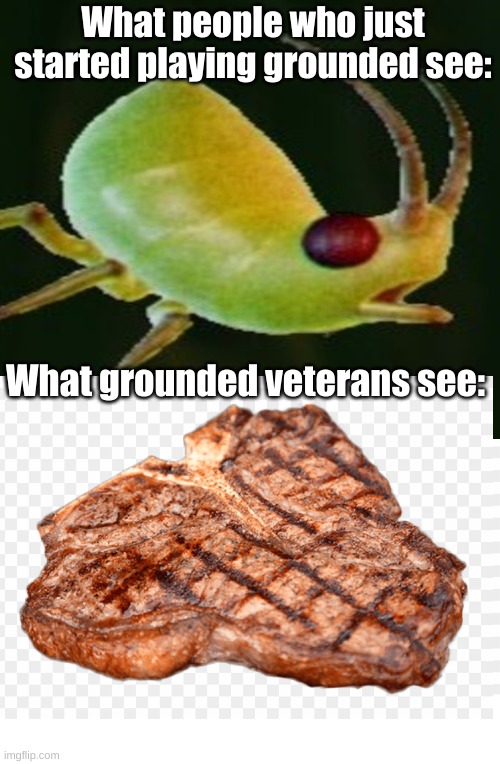 Grounded | What people who just started playing grounded see:; What grounded veterans see: | image tagged in memes | made w/ Imgflip meme maker
