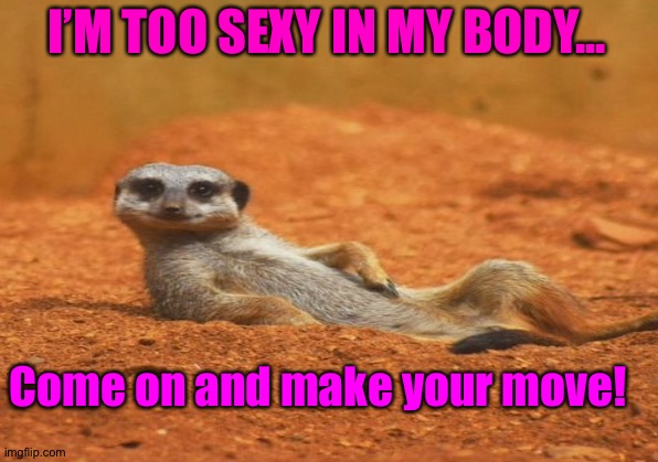 I’M TOO SEXY IN MY BODY... Come on and make your move! | made w/ Imgflip meme maker