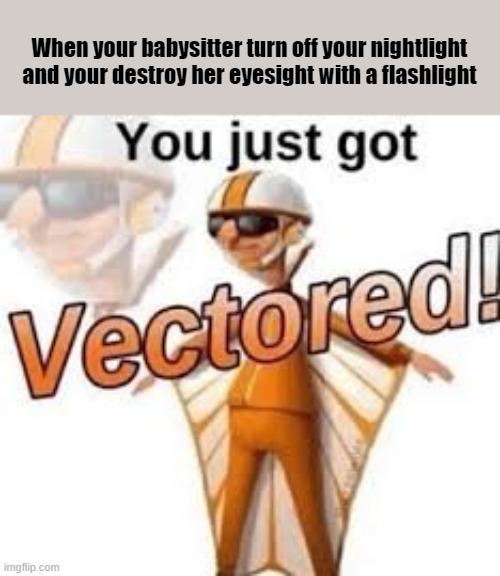 get vectored | When your babysitter turn off your nightlight and your destroy her eyesight with a flashlight | image tagged in despicable me,you just got vectored | made w/ Imgflip meme maker