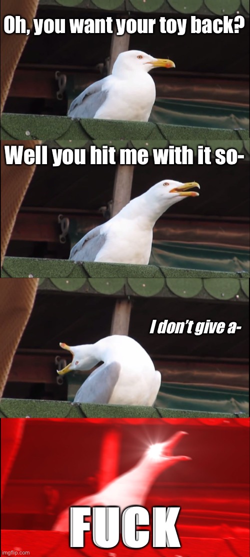 You hit me with it | Oh, you want your toy back? Well you hit me with it so-; I don’t give a-; FUCK | image tagged in memes,inhaling seagull | made w/ Imgflip meme maker