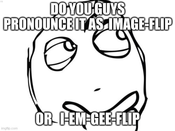 Im actually curious. What do you guys call it. | DO YOU GUYS PRONOUNCE IT AS  IMAGE-FLIP; OR   I-EM-GEE-FLIP | image tagged in memes,question rage face,imgflip | made w/ Imgflip meme maker