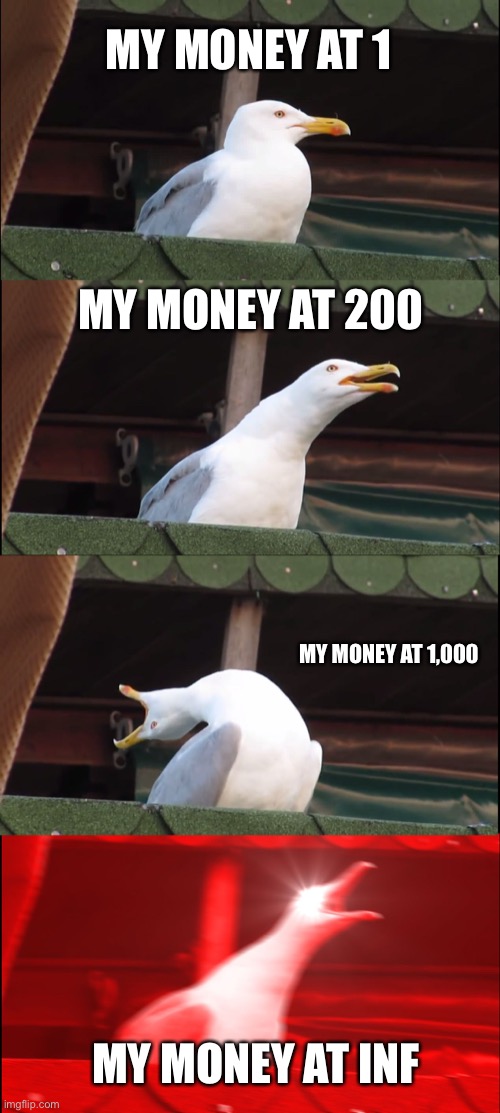 Inhaling Seagull Meme | MY MONEY AT 1; MY MONEY AT 200; MY MONEY AT 1,000; MY MONEY AT INF | image tagged in memes,inhaling seagull | made w/ Imgflip meme maker