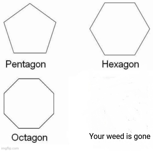 Pentagon Hexagon Octagon | Your weed is gone | image tagged in memes,pentagon hexagon octagon | made w/ Imgflip meme maker