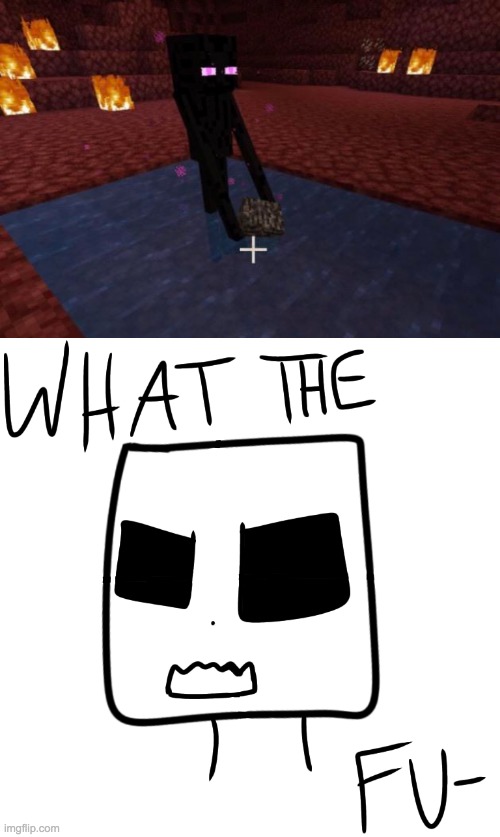 Minecraft | image tagged in what the fu- | made w/ Imgflip meme maker