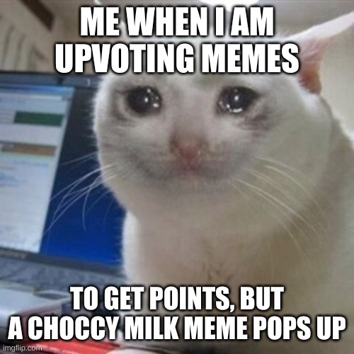 D: | ME WHEN I AM UPVOTING MEMES; TO GET POINTS, BUT A CHOCCY MILK MEME POPS UP | image tagged in crying cat | made w/ Imgflip meme maker