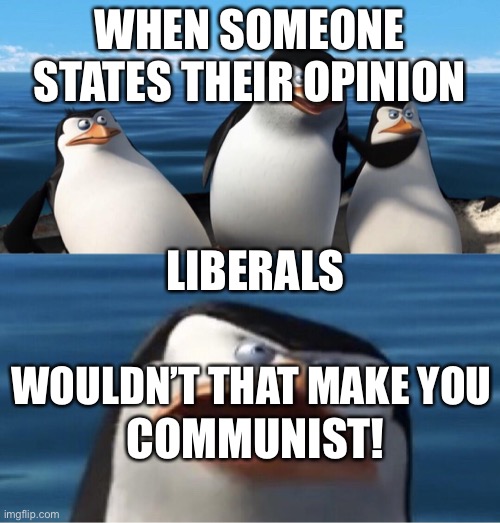 True | WHEN SOMEONE STATES THEIR OPINION; LIBERALS; WOULDN’T THAT MAKE YOU; COMMUNIST! | image tagged in wouldn't that make you | made w/ Imgflip meme maker