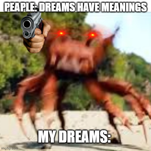 my dreams | PEAPLE: DREAMS HAVE MEANINGS; MY DREAMS: | image tagged in crab rave,dreams | made w/ Imgflip meme maker