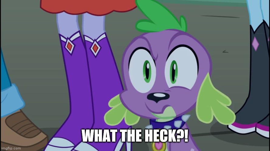 Mlp equestria girls spike da fuk | WHAT THE HECK?! | image tagged in mlp equestria girls spike da fuk | made w/ Imgflip meme maker