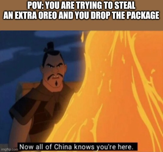 lol | POV: YOU ARE TRYING TO STEAL AN EXTRA OREO AND YOU DROP THE PACKAGE | image tagged in now all of china knows you're here | made w/ Imgflip meme maker