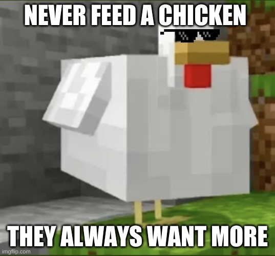 Cursed chicken | NEVER FEED A CHICKEN; THEY ALWAYS WANT MORE | image tagged in cursed chicken | made w/ Imgflip meme maker