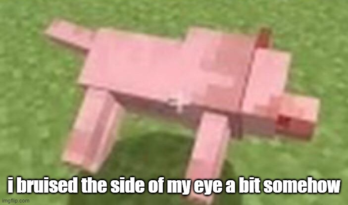 minecraft dog dying | i bruised the side of my eye a bit somehow | image tagged in minecraft dog dying | made w/ Imgflip meme maker