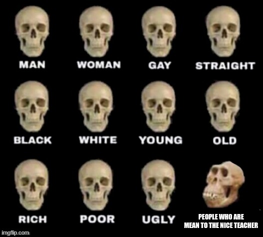 idiot skull | PEOPLE WHO ARE MEAN TO THE NICE TEACHER | image tagged in idiot skull | made w/ Imgflip meme maker
