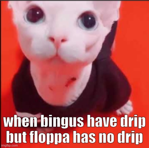 big boy drip | when bingus have drip but floppa has no drip | image tagged in epic | made w/ Imgflip meme maker