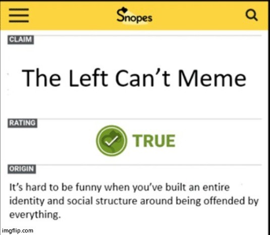The left can't meme | image tagged in the left can't meme | made w/ Imgflip meme maker