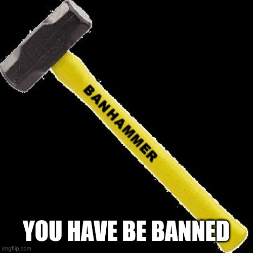 Ban Hammer | YOU HAVE BE BANNED | image tagged in ban hammer | made w/ Imgflip meme maker