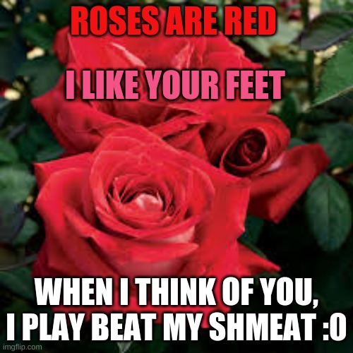 Valentines poem | ROSES ARE RED; I LIKE YOUR FEET; WHEN I THINK OF YOU, I PLAY BEAT MY SHMEAT :0 | image tagged in roses are red,noice | made w/ Imgflip meme maker