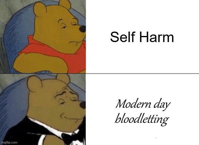 Tuxedo Winnie The Pooh | Self Harm; Modern day bloodletting | image tagged in memes,tuxedo winnie the pooh | made w/ Imgflip meme maker