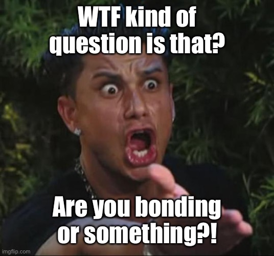 DJ Pauly D Meme | WTF kind of question is that? Are you bonding or something?! | image tagged in memes,dj pauly d | made w/ Imgflip meme maker