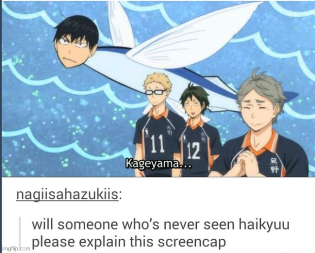 Incase you didn't know, Kageyama's name means flying fish. | made w/ Imgflip meme maker