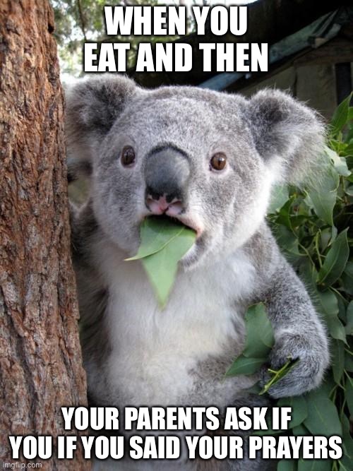 Surprised Koala | WHEN YOU EAT AND THEN; YOUR PARENTS ASK IF YOU IF YOU SAID YOUR PRAYERS | image tagged in memes,surprised koala | made w/ Imgflip meme maker