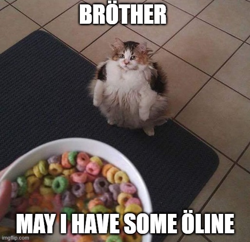 BROTHER MAY I HAVE SOME LOOPS | BRÖTHER; MAY I HAVE SOME ÖLINE | image tagged in brother may i have some loops | made w/ Imgflip meme maker