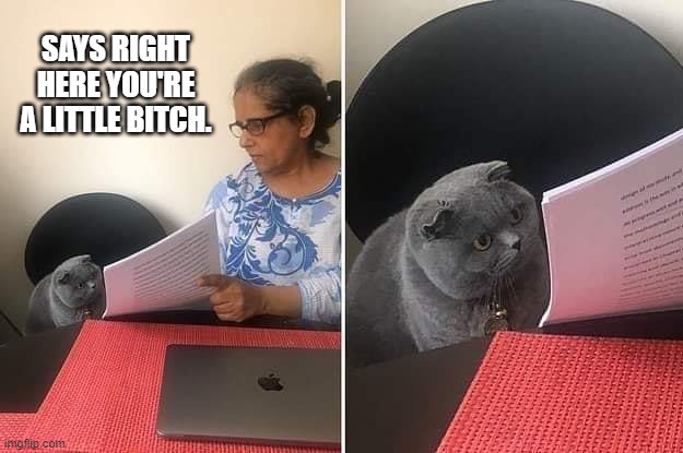 Says Here | SAYS RIGHT HERE YOU'RE A LITTLE BITCH. | image tagged in woman showing paper to cat | made w/ Imgflip meme maker