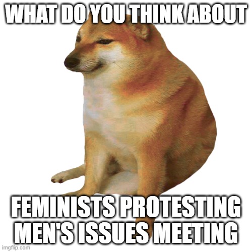 cheems | WHAT DO YOU THINK ABOUT; FEMINISTS PROTESTING MEN'S ISSUES MEETING | image tagged in cheems | made w/ Imgflip meme maker