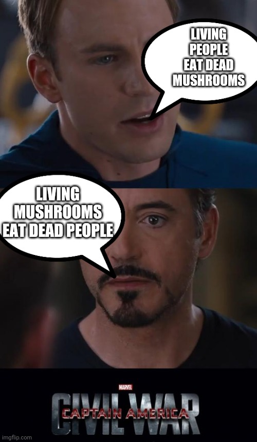 Both are right | LIVING PEOPLE EAT DEAD MUSHROOMS; LIVING MUSHROOMS EAT DEAD PEOPLE | image tagged in memes,marvel civil war,mushrooms,people | made w/ Imgflip meme maker