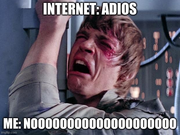 Sad | INTERNET: ADIOS; ME: NOOOOOOOOOOOOOOOOOOOO | image tagged in luke nooooo,internet | made w/ Imgflip meme maker