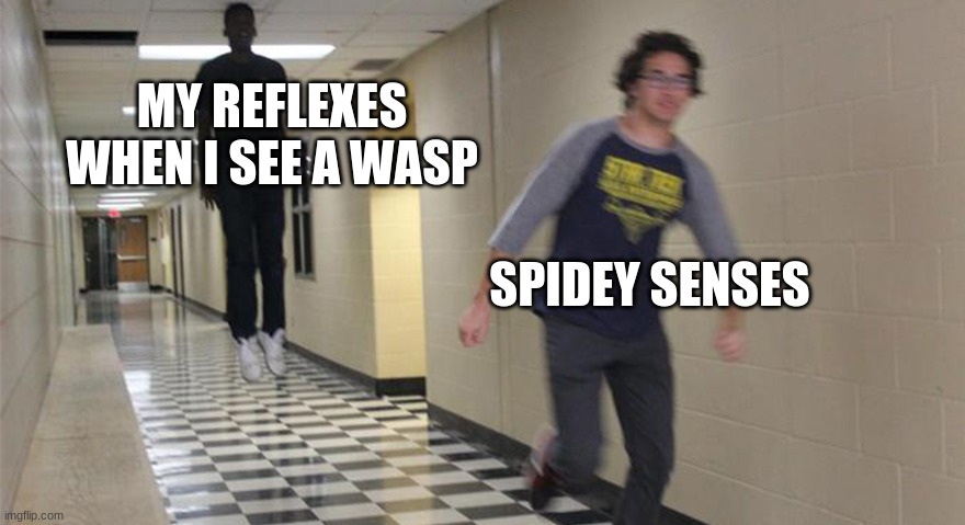 running guy floating | MY REFLEXES WHEN I SEE A WASP; SPIDEY SENSES | image tagged in running guy floating | made w/ Imgflip meme maker