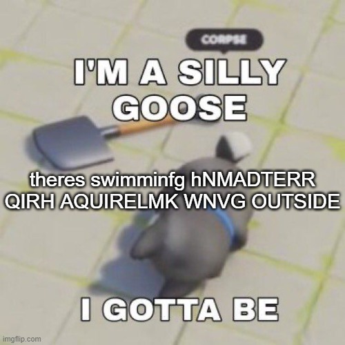 silly goose | theres swimminfg hNMADTERR QIRH AQUIRELMK WNVG OUTSIDE | image tagged in silly goose | made w/ Imgflip meme maker