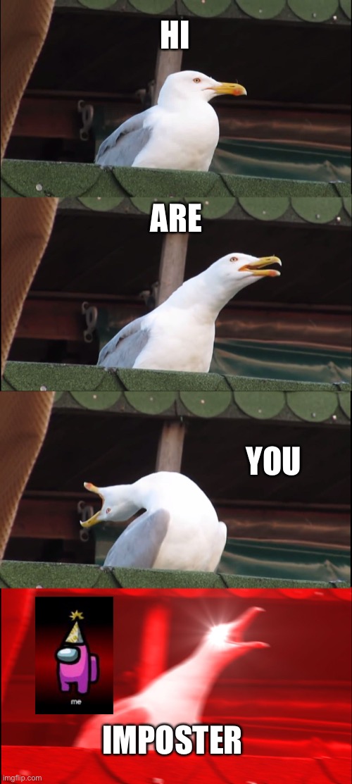 Inhaling Seagull | HI; ARE; YOU; IMPOSTER | image tagged in memes,inhaling seagull | made w/ Imgflip meme maker