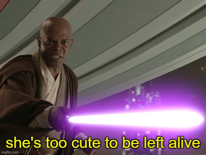 mace windu | she's too cute to be left alive | image tagged in mace windu | made w/ Imgflip meme maker