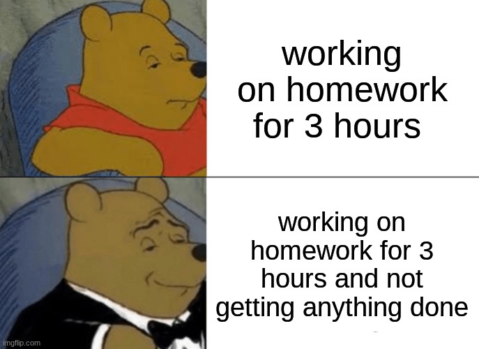 ... | working on homework for 3 hours; working on homework for 3 hours and not getting anything done | image tagged in memes,tuxedo winnie the pooh | made w/ Imgflip meme maker