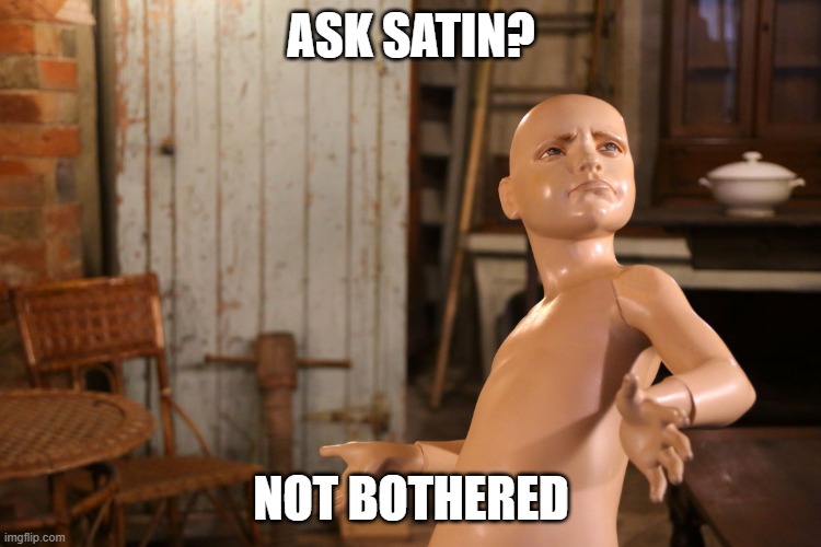 Not bothered | ASK SATIN? NOT BOTHERED | image tagged in not bothered | made w/ Imgflip meme maker