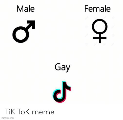 genders | image tagged in tik tok sucks,funny memes | made w/ Imgflip meme maker