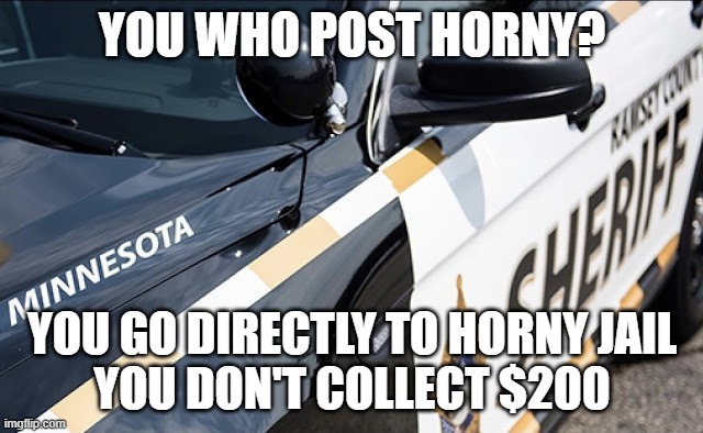 YOU WHO POST HORNY? YOU GO DIRECTLY TO HORNY JAIL
YOU DON'T COLLECT $200 | image tagged in live on patrol | made w/ Imgflip meme maker