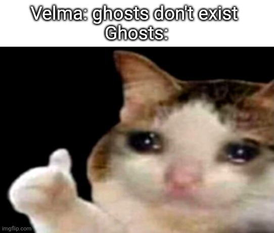 Respect ghosts | Velma: ghosts don't exist 
Ghosts: | image tagged in sad cat thumbs up | made w/ Imgflip meme maker