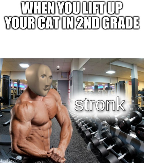 stongork |  WHEN YOU LIFT UP YOUR CAT IN 2ND GRADE | image tagged in stronks,cats | made w/ Imgflip meme maker