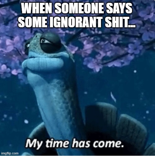 My Time Has Come | WHEN SOMEONE SAYS SOME IGNORANT SHIT... | image tagged in my time has come | made w/ Imgflip meme maker