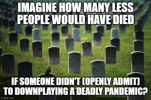 graveyard cemetary | IMAGINE HOW MANY LESS PEOPLE WOULD HAVE DIED; IF SOMEONE DIDN'T (OPENLY ADMIT) TO DOWNPLAYING A DEADLY PANDEMIC? | image tagged in graveyard cemetary | made w/ Imgflip meme maker