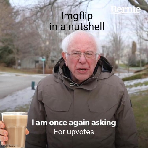 Imgflip upvote begging | Imgflip in a nutshell; For upvotes | image tagged in memes,bernie i am once again asking for your support | made w/ Imgflip meme maker