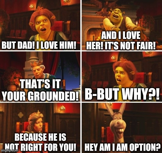 Discussing a Relationship | BUT DAD! I LOVE HIM! AND I LOVE HER! IT'S NOT FAIR! B-BUT WHY?! THAT'S IT YOUR GROUNDED! HEY AM I AM OPTION? BECAUSE HE IS NOT RIGHT FOR YOU! | image tagged in shrek fiona harold donkey,funny memes,shrek | made w/ Imgflip meme maker