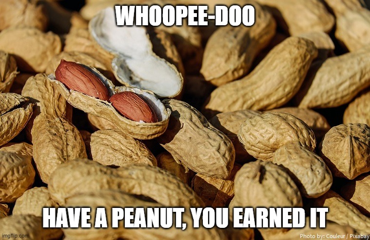 have a peanut | WHOOPEE-DOO; HAVE A PEANUT, YOU EARNED IT | image tagged in peanut | made w/ Imgflip meme maker