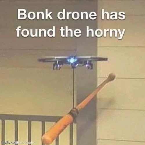 Bonk drone | image tagged in bonk drone | made w/ Imgflip meme maker