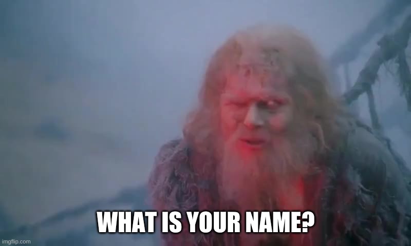 What Is Your Name? | WHAT IS YOUR NAME? | image tagged in what is your name | made w/ Imgflip meme maker