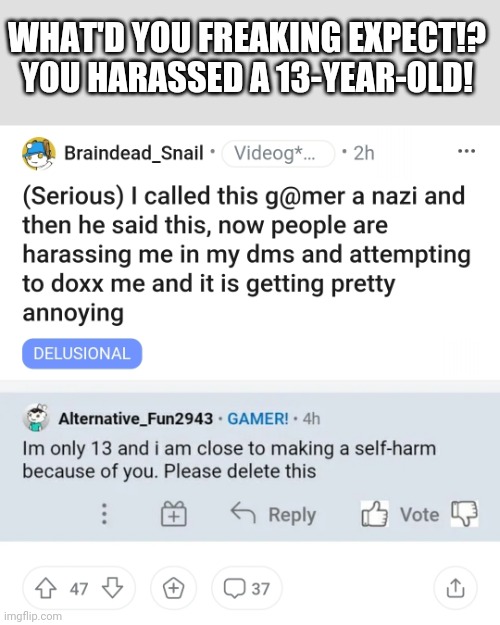 Stupid @nti-gamer moment | WHAT'D YOU FREAKING EXPECT!?
YOU HARASSED A 13-YEAR-OLD! | made w/ Imgflip meme maker